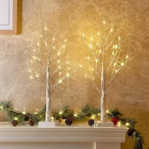 2FT Lighted Birch Tree Set of 2 with Warm White LED Lights, Battery Powered Christmas Indoor Home Decor