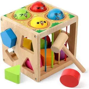 Wooden Montessori Toys for Toddlers, Shape Sorting Cube Fine Motor Skills Game for Year Old 18 Month+ Baby Boys Girls Gift