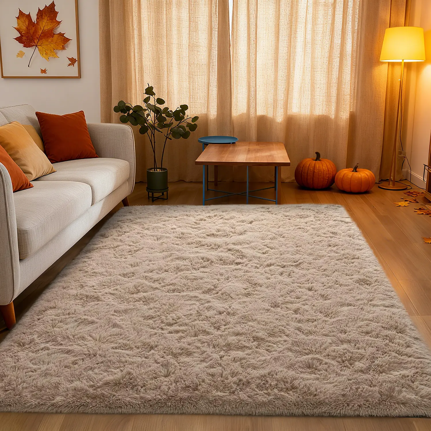 Super Soft Shag Decorative Rug - Microfiber, Non-Slip, Pet-Friendly, Machine Washable Fluffy Modern Rug for Bedroom, Living Room Indoor Use, Small Size