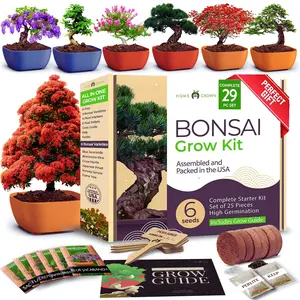 HOME Grown Bonsai Tree Kit - Complete All-in-One Set with Pots, Seeds, Soil, and Instructions - Perfect Holiday or Christmas Gift