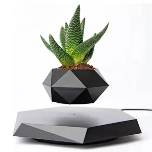 Levitating Plant Pot: The Perfect Home for Your Succulents