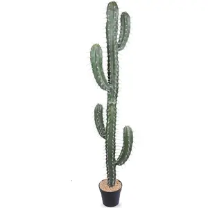 Artificial Cactus Fake Cacti 62" Faux Potted Cactus Plants for Home Store Office Decoration