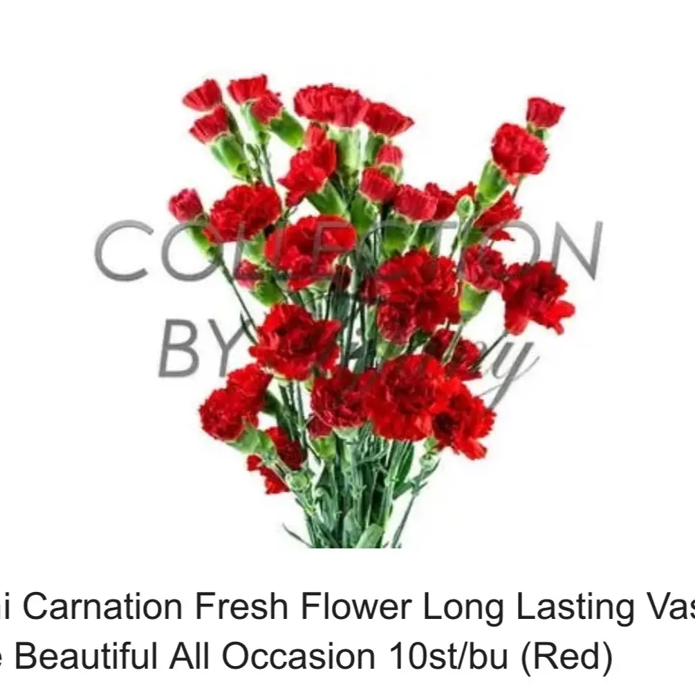 Mini Carnations for Home Decor - Touch of Freshness and Color