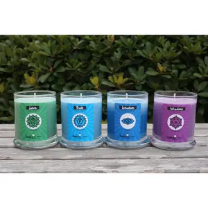 The Higher Vibes Chakra Candle Set