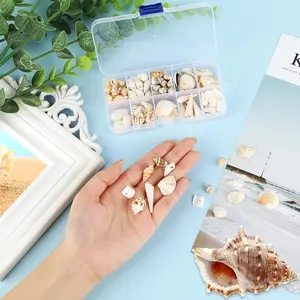 1 box Shells Mixed for Crafts Sea Shells Mixed Ocean Conch Decoration for Vase Fillers Beach Theme Party Fish Tank DIY Crafts