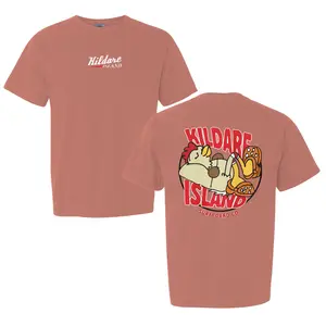 Outer Banks Kildare Island Chicken T-Shirt  Comfort Colors , JJ Maybank Outfit, OBX SS4 Show Shirt, Beach Tee,  Break Tee Gift For Movies Lovers