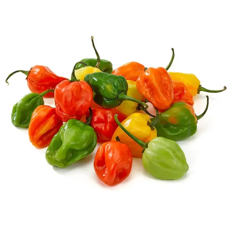 Habanero
