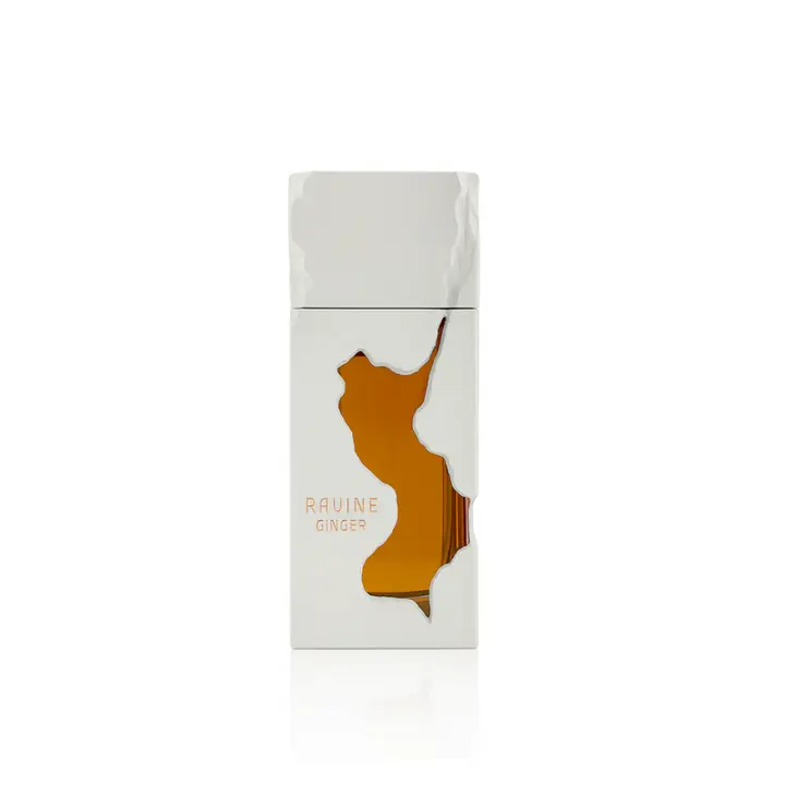FRENCH AVENUE Ravine Ginger Eau de Parfum, Long-lasting Unisex Fragrance with Fresh Spicy and Citrus Notes, 3.4 oz Spray Bottle for Adults, 100 Ml Perfume, Single Item, Premium Unisex Fragrance, Fresh Ginger, With Citrus, Alpha-Isomethyl Ionone., 100Ml, E