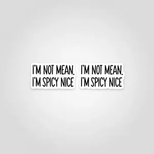 I'm Not Mean & Spicy Nice Sticker Set, 2pcs Multi-Color Vinyl Self-Adhesive Paper Stickers for Laptops, Water Bottles, Glass, Metal, Plastic, Wood Surfaces Decal Sticker Adhesive Decals