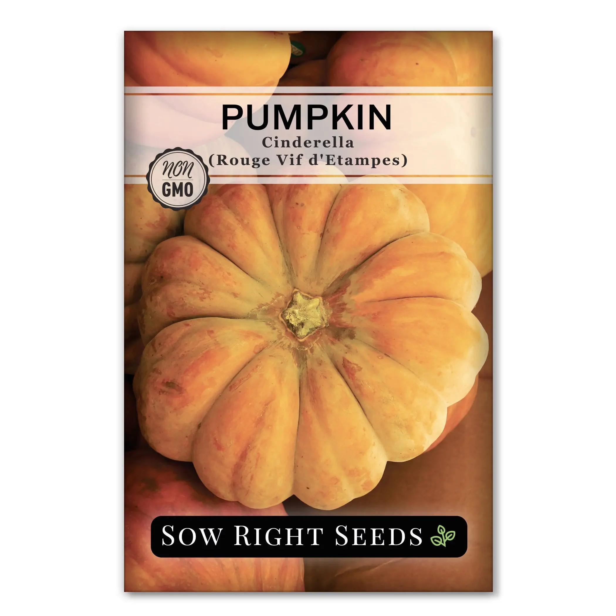 Cinderella Pumpkin