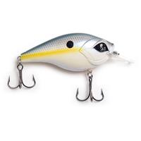 Sexy Shad