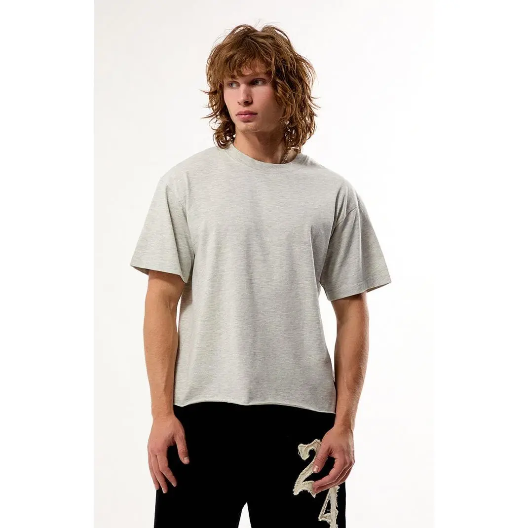Pacsun Men's Heather Grey Premium Cropped T-Shirt