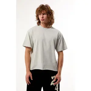 Pacsun Men's Heather Grey Premium Cropped T-Shirt