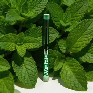 We Like Twin-Cap Mint Inhaler Essential Oils Perfect for Late-Night Study