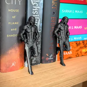 Fae Book Boyfriend, Fantasy Romance Bookshelf Decor, Bookish Gifts