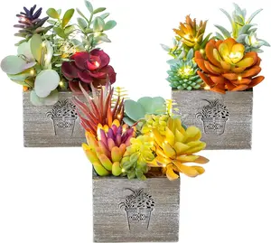 Artificial  and , Small   with Led String Light, Assorted Decorative Faux Succulent Potted for Office and Desk Decor, Bathroom, Bedroom, Shelves for Women