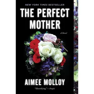 The Perfect Mother: A Novel by Aimee Molloy [Paperback Book]