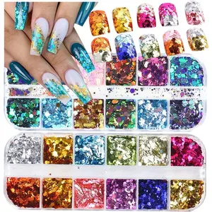 2 Boxes 24 Colors Chameleon Holographic Glitter Mermaid Nail Art Sequins 3D Flakes Laser Gradient Nail Glitter Design Shiny Glitters Powder Accessories for Women Manicure DIY Nail Art Decorations