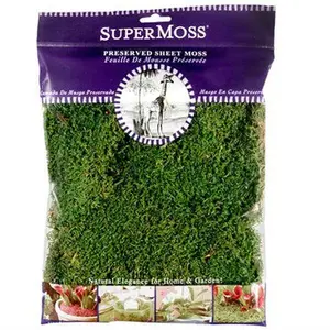 SuperMoss Preserved Sheet Moss - 2 oz