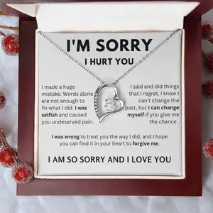 I'm Sorry I Hurt You Necklace, I'm Sorry Necklace White Gold Chain for Girlfriend, Meaningful Message Card Jewelry Birthday Gifts for Wife
