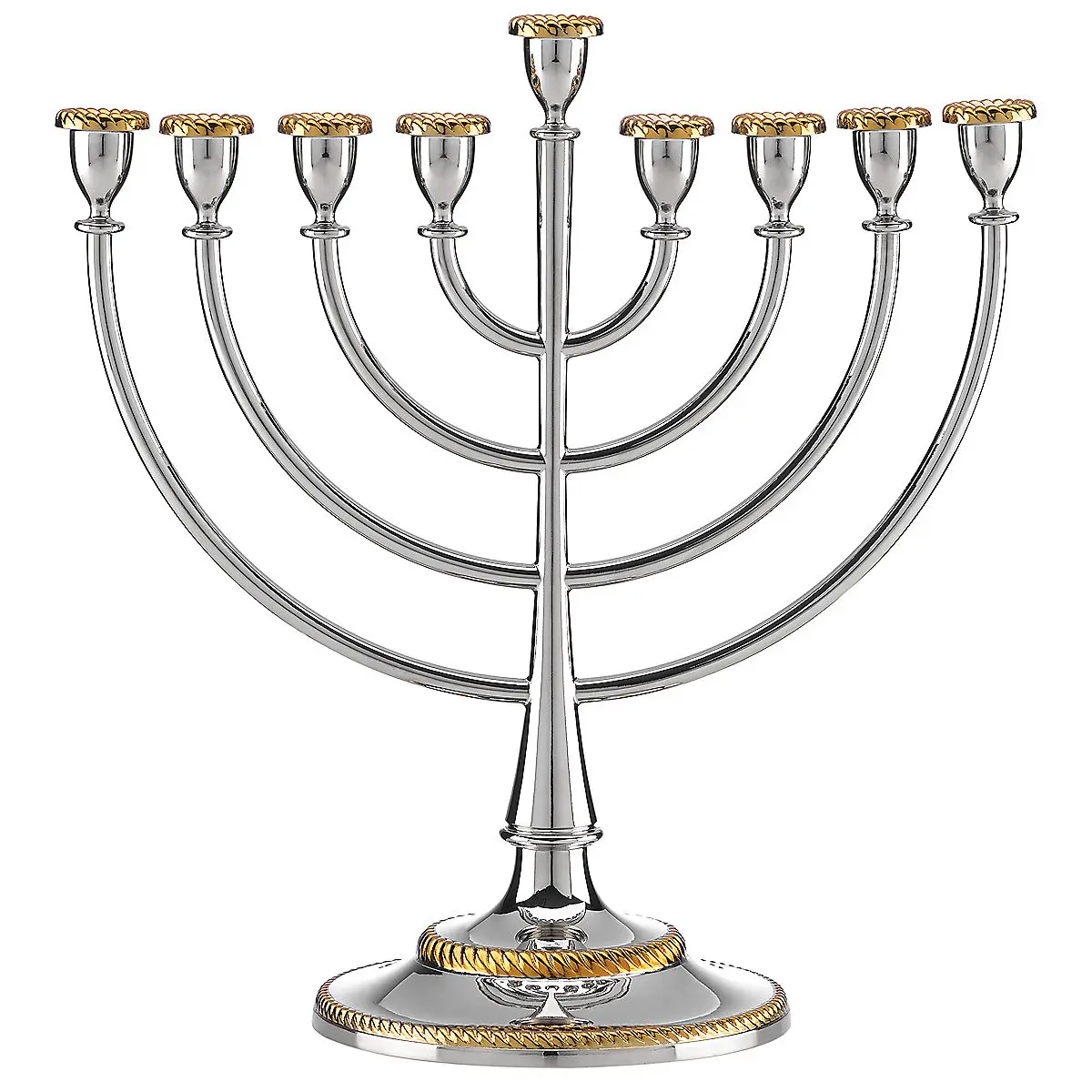 Reed & Barton 872552 Roseland Menorah Photo Frame