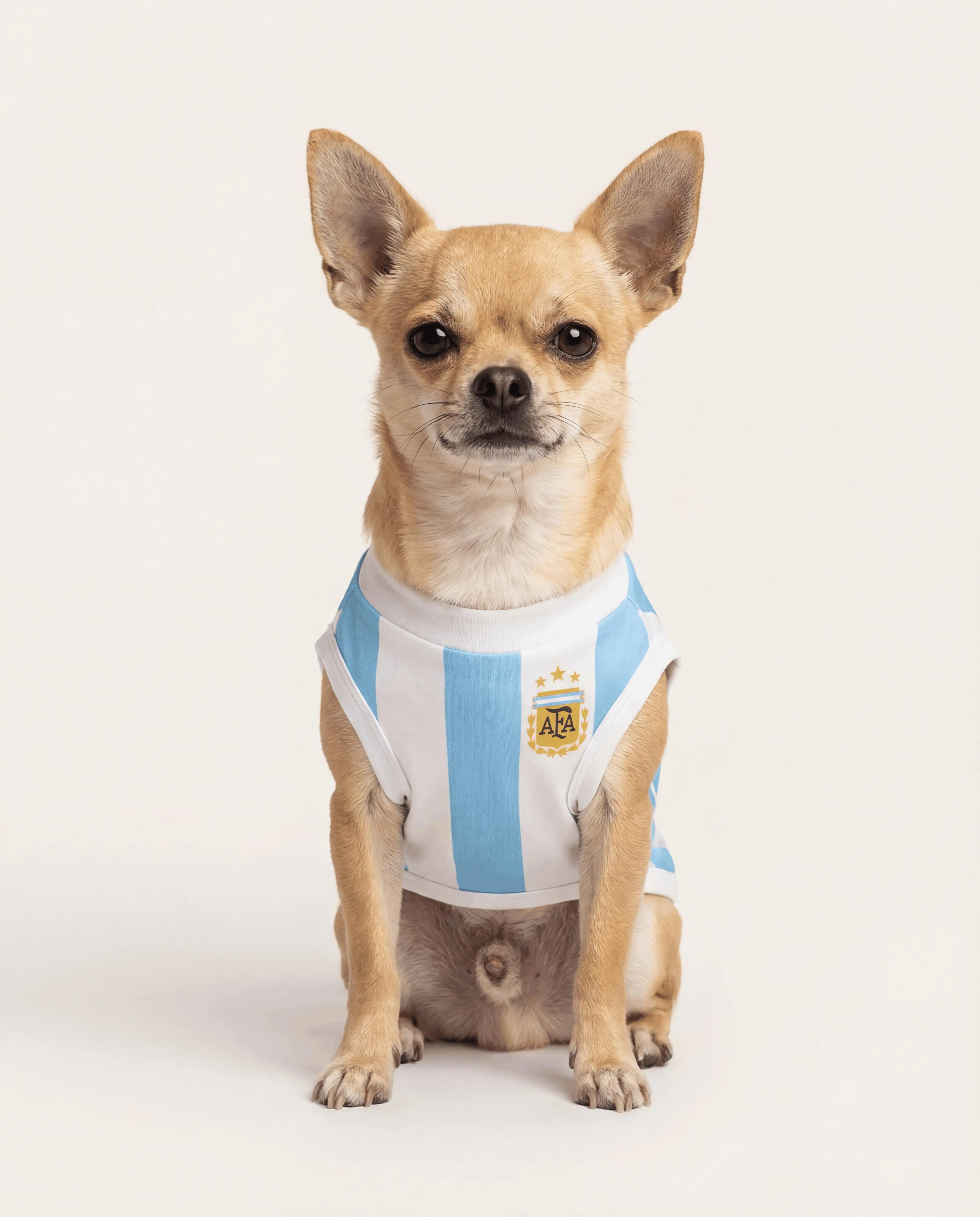 Cielo — Argentina Matching Dog & Owner Outfit