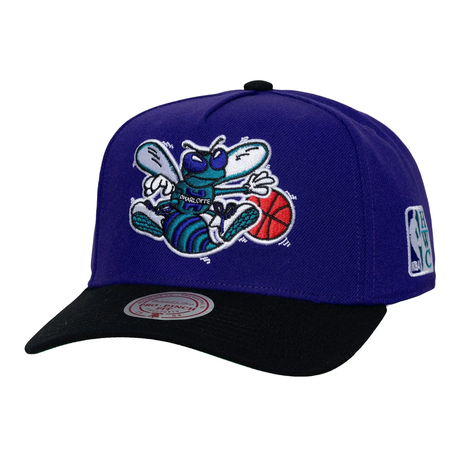 Charlotte Hornets Purple/Black Hardwood Classics Legendary Home Pro Pinch Snapback Hat NBA Throwback Cap Adjustable Fan Gear Mitchell & Ness