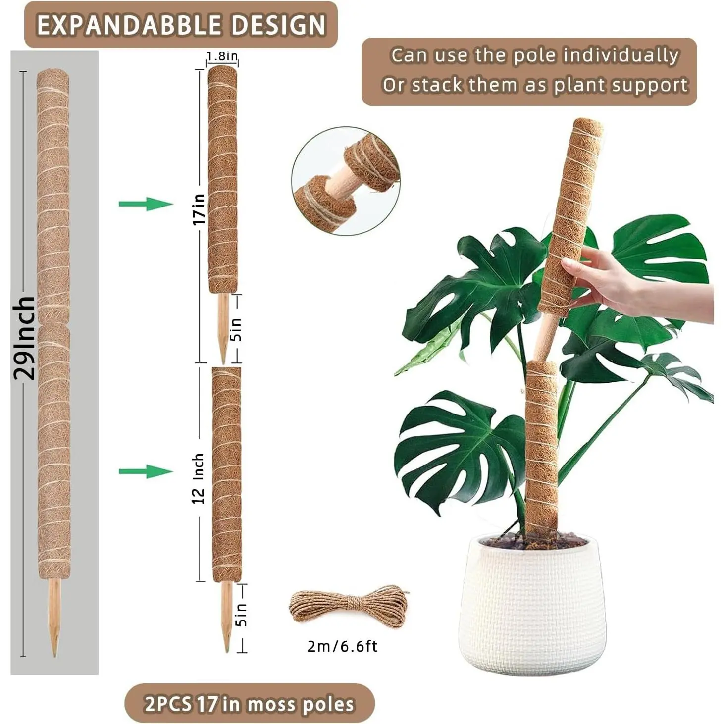 monstera nach kauf umtopfen Monstera Deliciosa kaufen