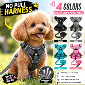 Adjustable Pet Harness Set, Breathable Mesh Reflective Dog Leash, Anti-Slip Chest Strap for Medium Dogs, Outdoor Safety Gear