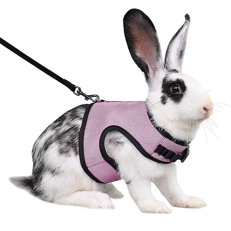 Black Mesh Rabbit Harness & Leash Set - Soft Adjustable Comfortable Vest, Collars & Harnesses & Leads for Small Pets, Different Sizes Outdoor Walking Gear, Nylon