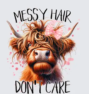 Messy Hair Don't Care