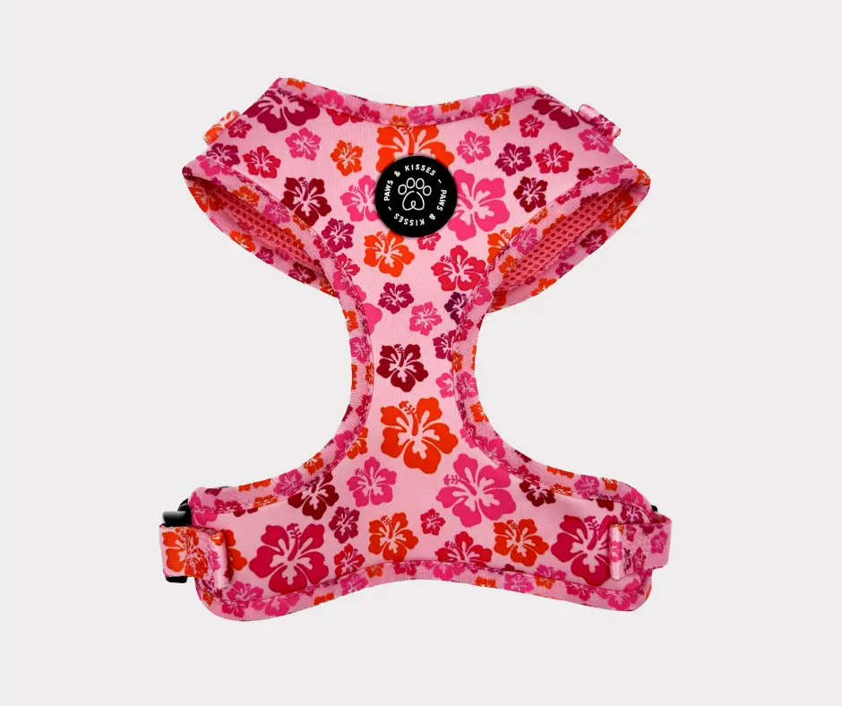 Malibu Adjustable Harness Malibu Adjustable Harness