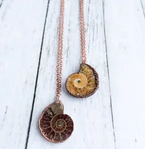 Madagascar Ammonite Necklace