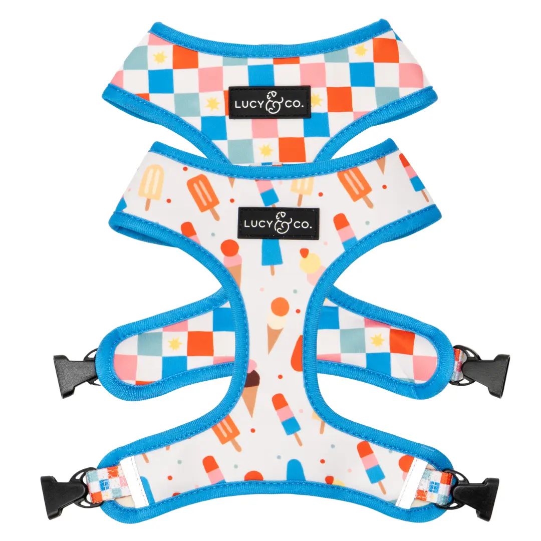 Sundae Kinda Love Reversible Harness