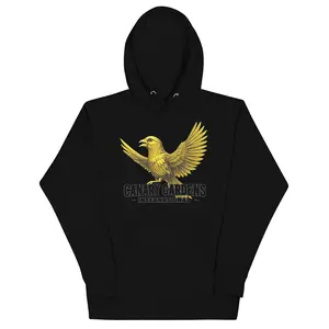Canary Hoodie Fall/Winter25