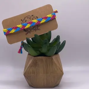 Pansexual Braided Pride Friendship Bracelet - Birdies Nest - LGBTQ Collwction