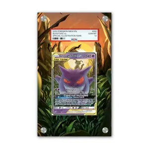 Gengar & Mimikyu GX 53/181 - PSA Pokémon Extended Artwork Display Case