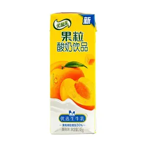 Yili Group Peach Flavored Yogurt Drink - 245g, Probiotic Milk Beverage, Fruity Yogurt Snack for Adults & Kids Yili Group Peach Flavored Yogurt Drink - 245g, Probiotic Milk Beverage, Fruity Yogurt Snack for Adults & Kids
