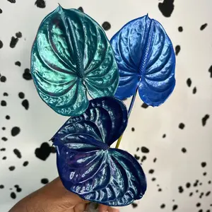 3 Stem Custom Anthurium Cosmic Painted Bouquet             Fun Plants Decor Iridescent Holographic Gift Camo Boyfriend Girlfriend Birthday Anniversary