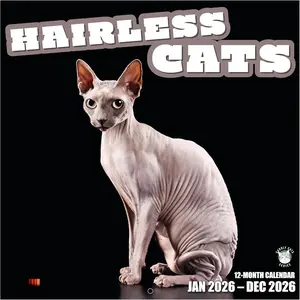 Hairless Cats 2026 Wall Calendar 12 Month | 12" x 24" Open | Thick & Sturdy Paper | Giftable | Cute Sphynx Kitten  Calendar 2026
