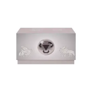 Pokemon TCG S-Chinese Brilliant Energy Gift Box "Steel Energy" PR-EP Peng Yuan