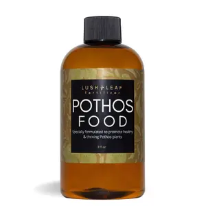 Lush Leaf Pothos Plant Food LIquid Concentrate Fertilizer for all Varieties of Pothos