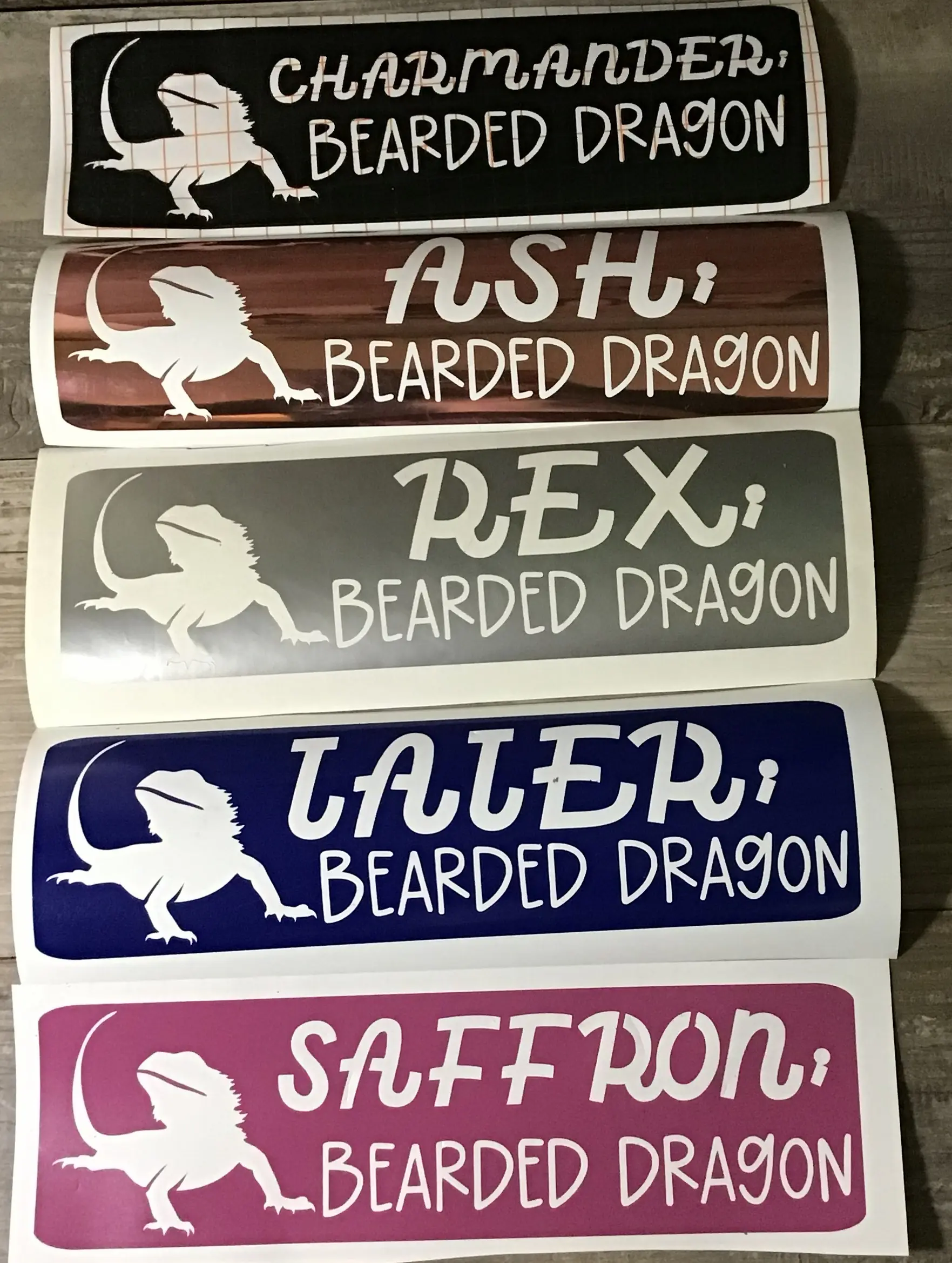 Custom Reptile Enclosure Name Tag | Personalized Vinyl Decal Habitat Name Plate