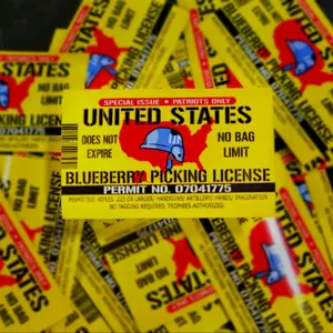 Permit Sticker Decor Decorative