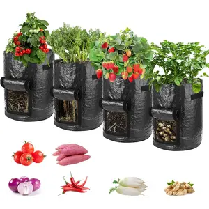 Potato Planting Bags, Garden Planter, Portable Garden Planters, 3 Gallon 4 Pack, with Lid and Handle, Ideal for Onions, Fruits, Tomatoes, Carrots, Gardening Supplies