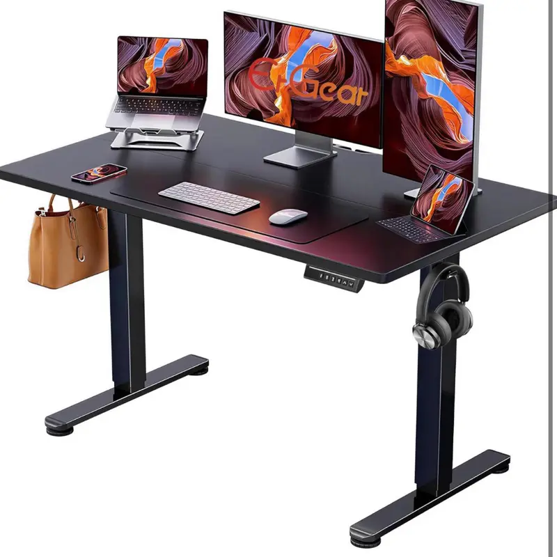 ErGear 48 X 24 Inch Height Adjustable Electric Standing Desk, Black