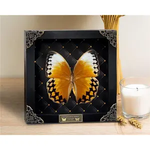 Real Butterfly Black Rhombus Frame Handmade Beetle Shadow Box Bug Insect Specimen Unique Entomology Oddities Taxidermy Collection Tabletop Artwork Home Decor Living Reading Gallery Bedroom K16-02-NEM