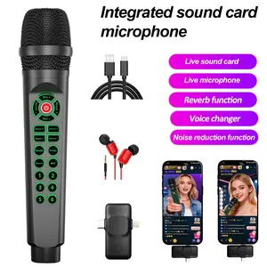 Professional Podcast Live Streaming Device, Integrated Sound Card Microphone, Voice Changer, Dj Audio Control Mixer, USB Audio Mixer, Suitable for Phone Computer Laptop