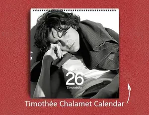 Timothee Calendar Chalamet 2026 Calendar, Funny Celebrity Wall Planner, Actor Fan Gift for Her, Celebrity Crush Merch, New Year Holiday Gift