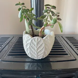 Concrete plant holders